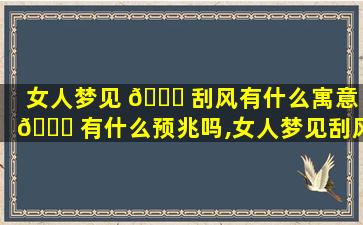 女人梦见 🕊 刮风有什么寓意 🐅 有什么预兆吗,女人梦见刮风有什么寓意有什么预兆吗周公解梦